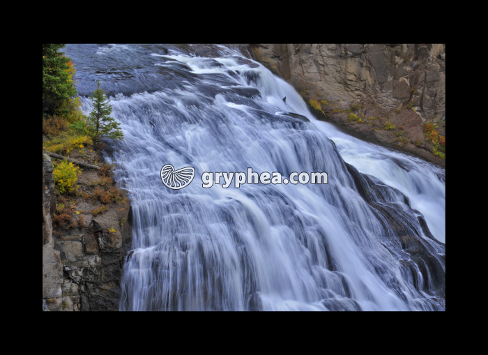 Gibbon falls (Yellowstone NP, Wyoming, USA) - gryphea.org